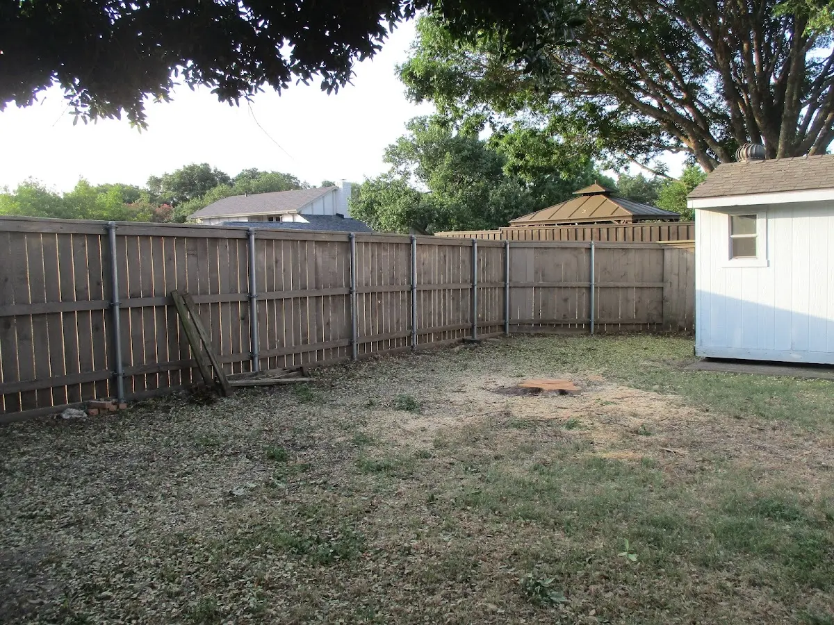 Cleared yard after professional tree removal in Wayland